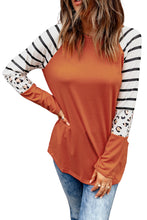 Load image into Gallery viewer, Striped Animal Print Colorblock Long Sleeve Top