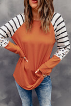 Load image into Gallery viewer, Striped Animal Print Colorblock Long Sleeve Top