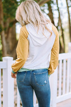 Load image into Gallery viewer, Colorblock Button Accent Pullover Hoodie